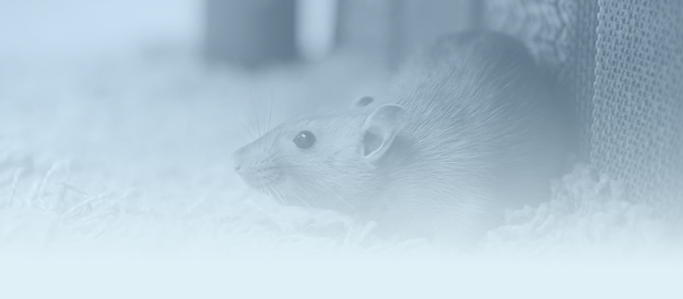 Rodent Control